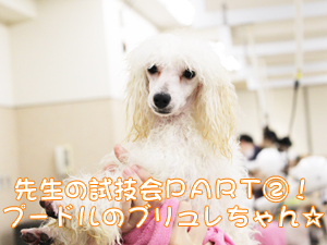 ２年生に向けて！先生の試技会♪②